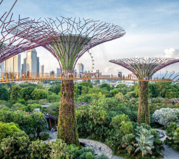 سنگاپور گردی