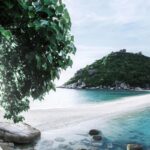 سامویی گردی