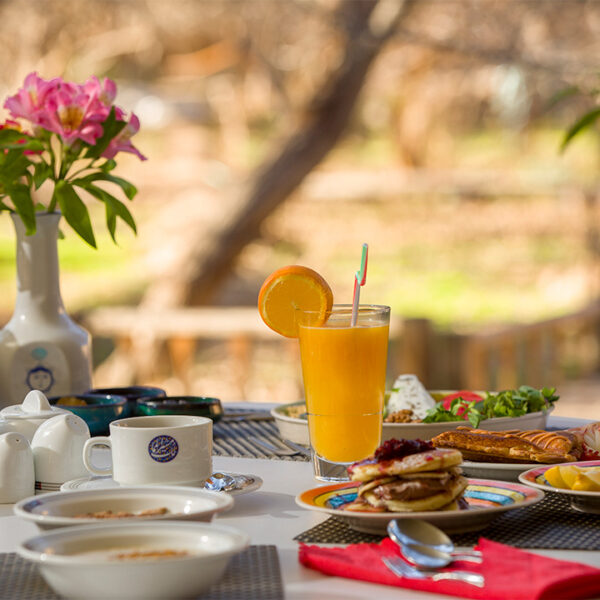 Yeganehtours.com_Moshir_al-Mamalek_Garden_Hotel_03
