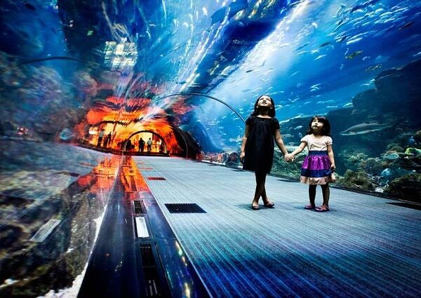 Yeganehtours.com_Dubai_Mall_Aquarium_and_Underwater_Zoo آکواریوم و باغ وحش زیر آب دبی مال 1