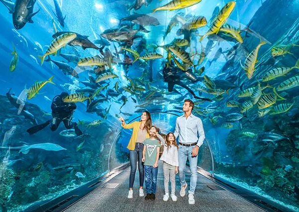 Yeganehtours.com_Dubai_Mall_Aquarium_and_Underwater_Zoo_01 آکواریوم و باغ وحش زیر آب دبی مال 2