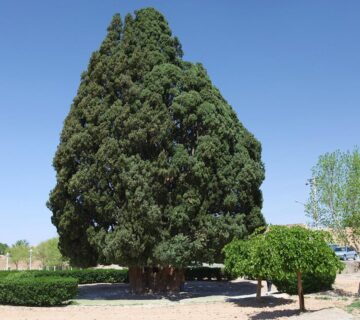 جاذبه های ابرکوه
