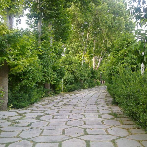 Yeganehtours.com_Shiraz_Afifabad_Garden_10