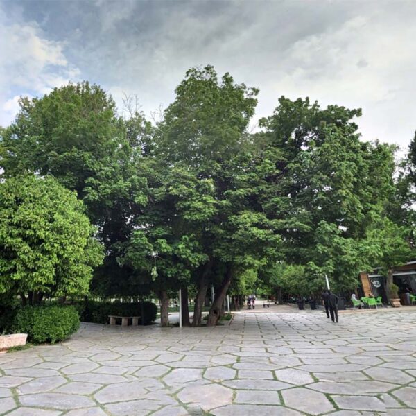 Yeganehtours.com_Shiraz_Afifabad_Garden_14