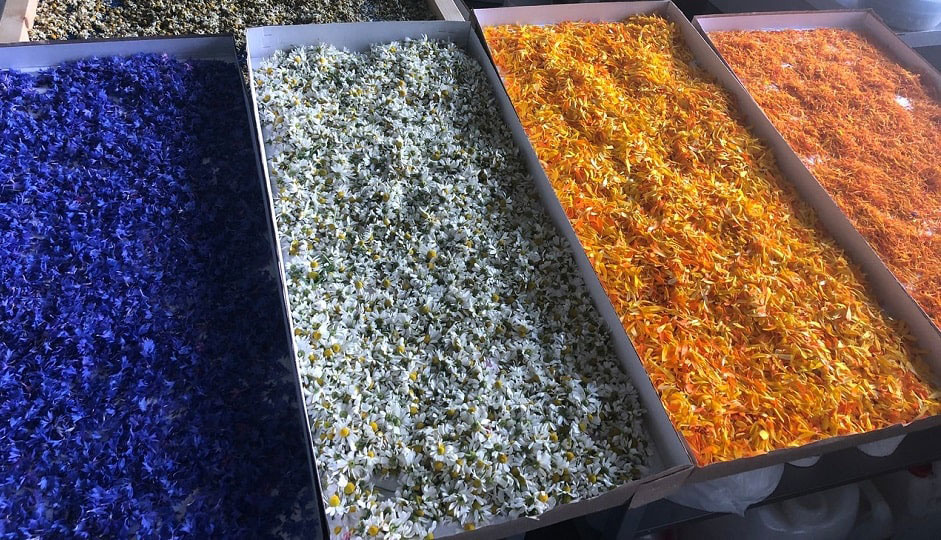 Yeganehtours.com_Armenian_Herbs_and_Organic_Cosmetics گیاهان ارمنی از بهترین سوغات ارمنستان