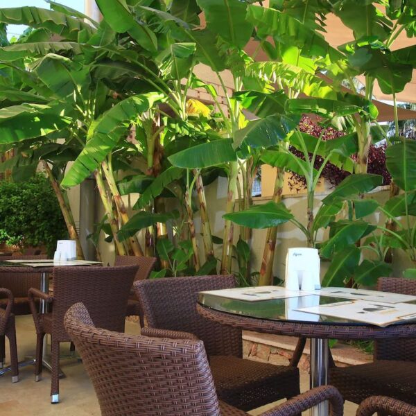 Yeganehtours.com_Mandarin_Resort_Hotel_Bodrum_04