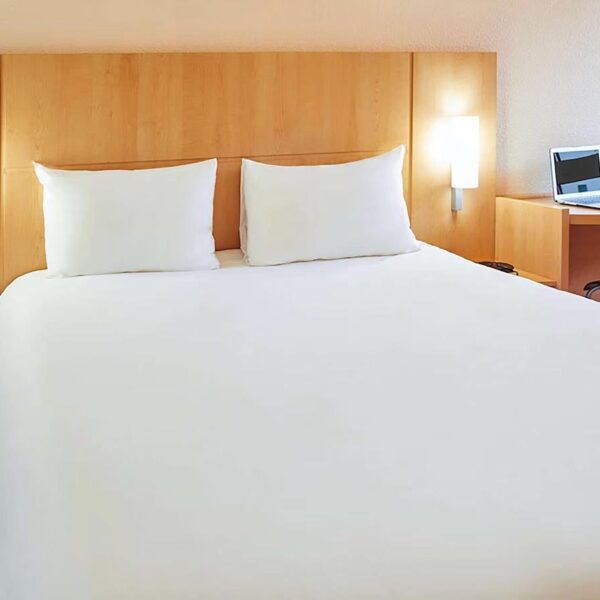 Yeganehtours.com_Ibis_Toulouse_Centre_Hotel_02