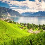 مونترو گردی