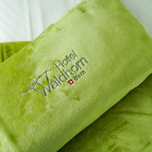 Yeganehtours.com-Hotel-Waldhorn-Bern-04