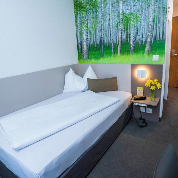 Yeganehtours.com-Hotel-Waldhorn-Bern-07