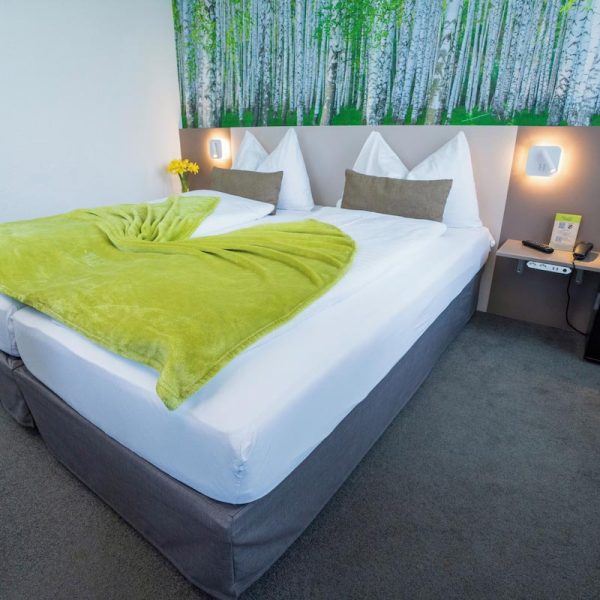 Yeganehtours.com-Hotel-Waldhorn-Bern-14