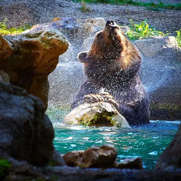 Yeganehtours.com-Bioparco di Roma-Main باغ وحش بیوپارک رم